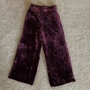 Madewell Velvet Pants in Deep Purple